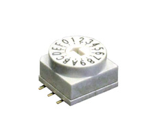 RD10RA16CGR छवि