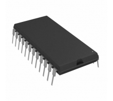 DS17885-3+ छवि