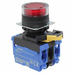 A22NL-BGM-TRA-G101-RD